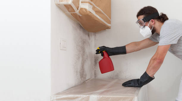 Professional Bathroom Mold Removal technician working in Linthicum Heights, MD